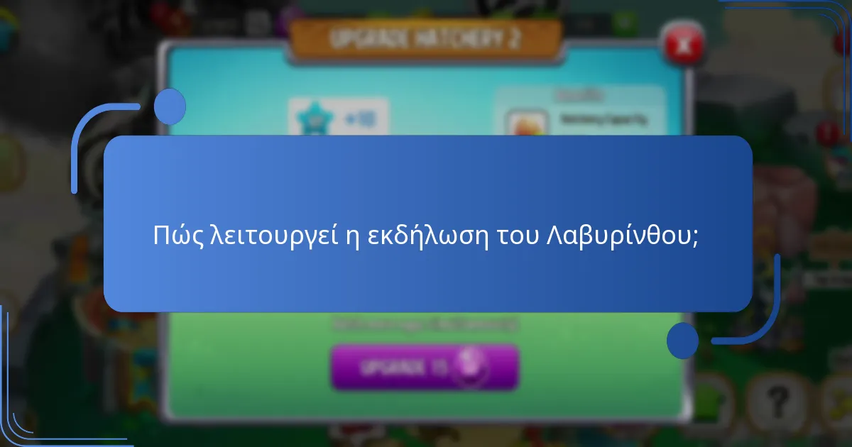 Πώς λειτουργεί η εκδήλωση του Λαβυρίνθου;